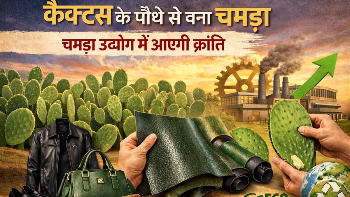 कैक्टस से बना चमड़ा: क्या यह पारंपरिक लेदर का विकल्प बन सकता है?