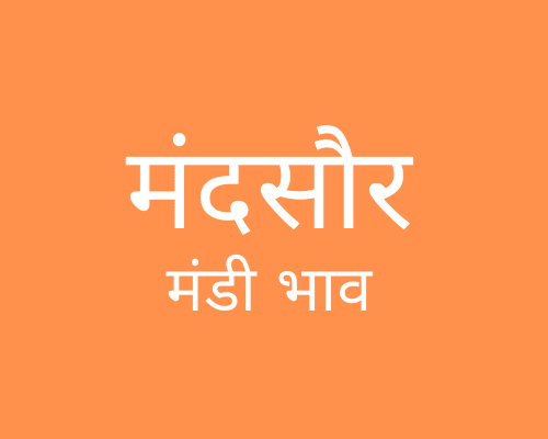 Mandsaur Mandi - मंदसौर मंडी मंडी भाव 30-01-2024