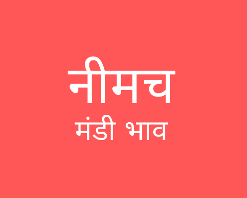 Neemuch Mandi - नीमच मंडी मंडी भाव 16-07-2025