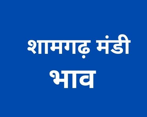 Shamgarh Mandi - शामगढ़ मंडी मंडी भाव 21-03-2023