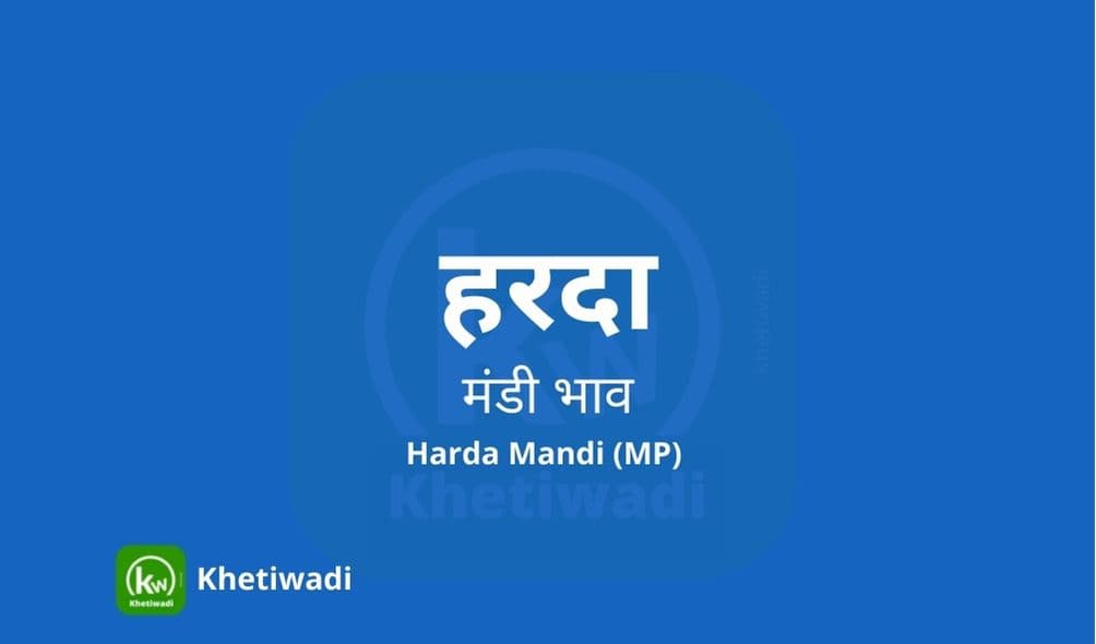 Harda Mandi - हरदा मंडी मंडी भाव 27-01-2025