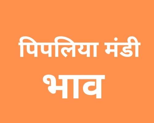 Pipliya Mandi - पिपलिया मंडी मंडी भाव 24-03-2022