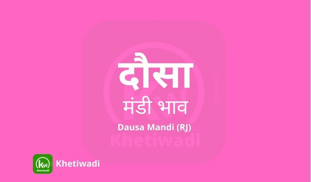 Dausa Mandi - दौसा मंडी मंडी भाव 30-06-2025