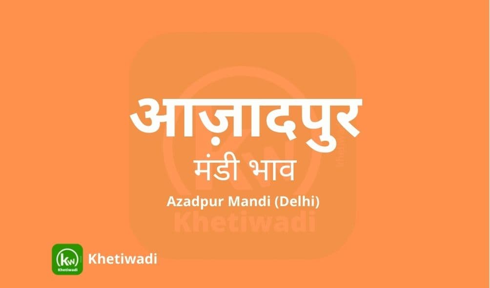 Azadpur Mandi - आज़ादपुर मंडी मंडी भाव 23-06-2021