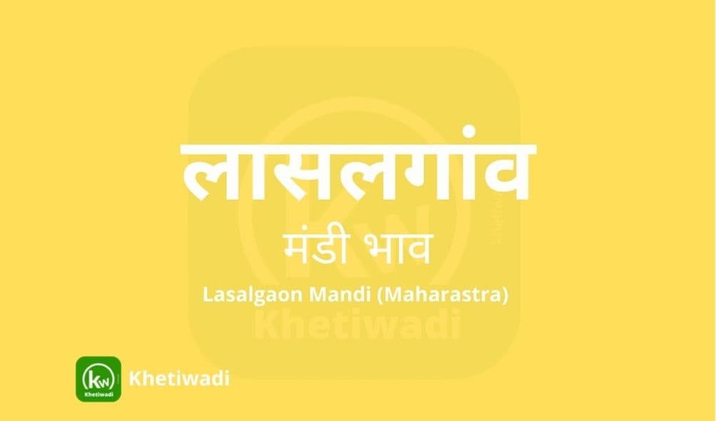 Lasalgaon Mandi - लासलगांव मंडी मंडी भाव 19-12-2023
