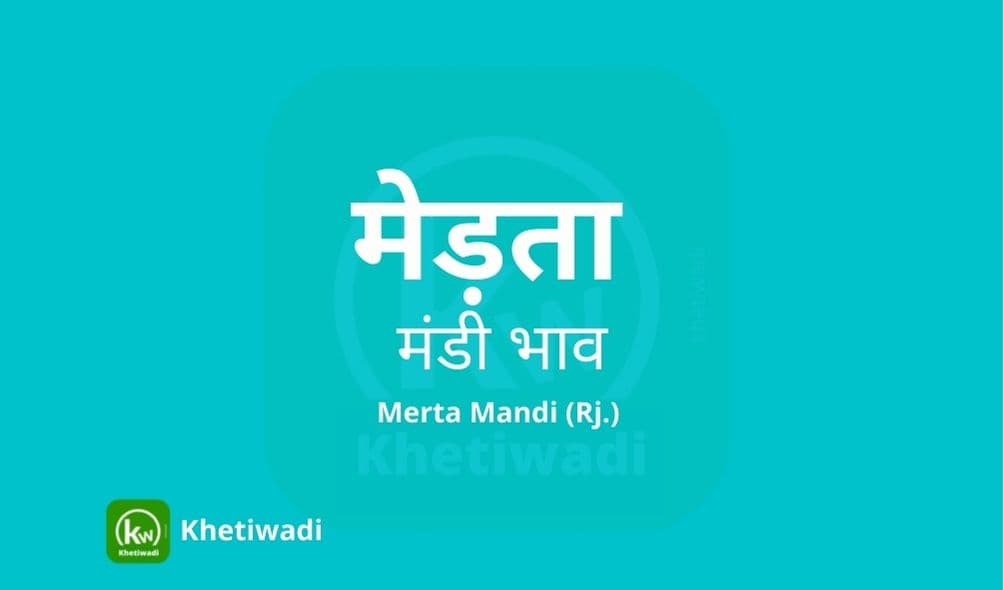 Merta Mandi - मेड़ता मंडी मंडी भाव 07-11-2022