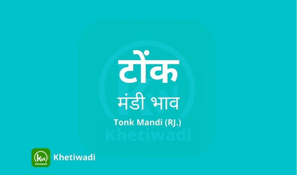 Tonk Mandi - टोंक मंडी मंडी भाव 25-09-2025