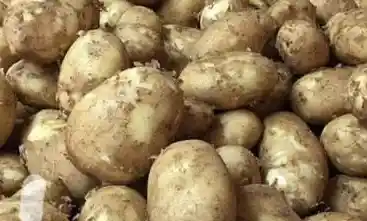 New Potato image
