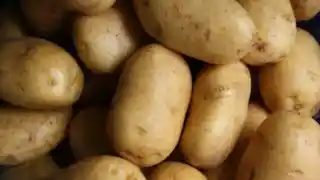 Potato image