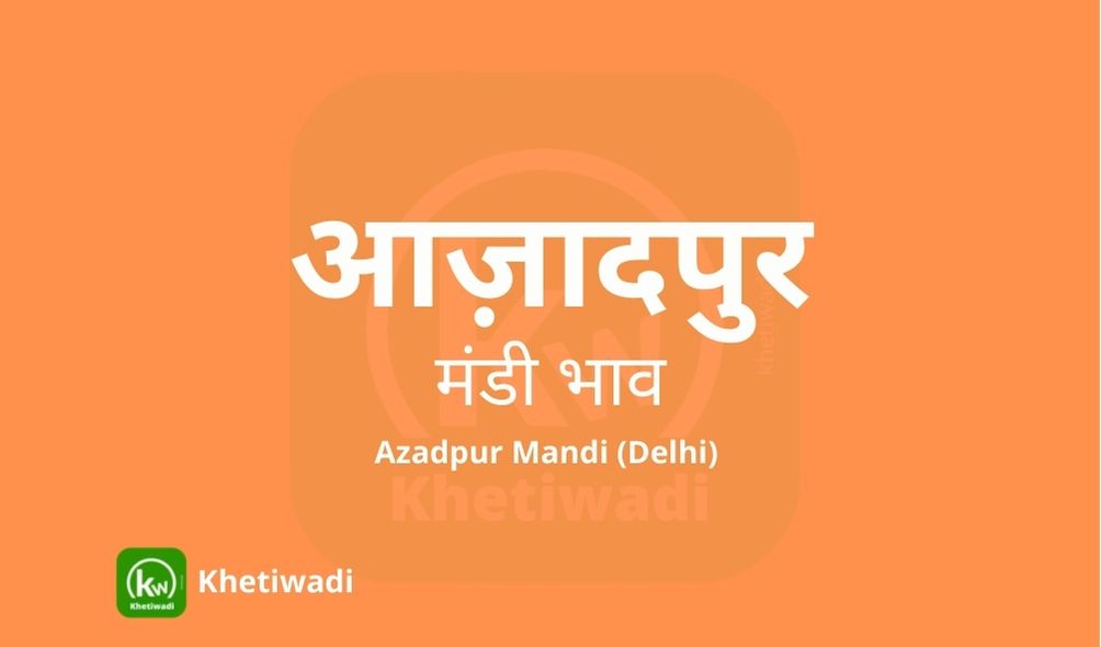 azadpur-mandi-bhav