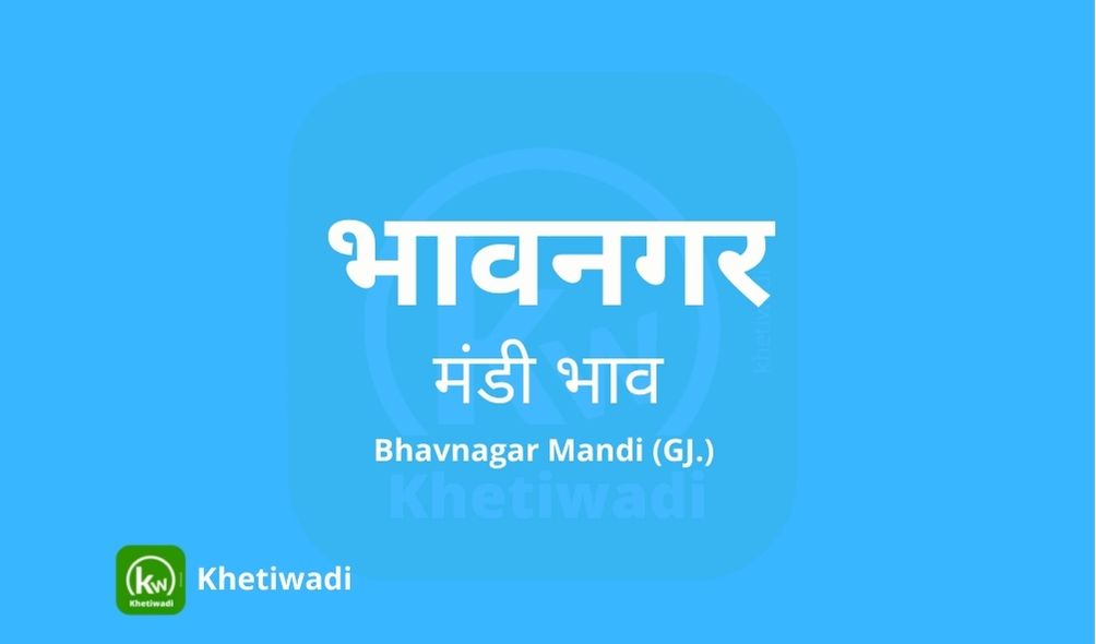 bhavnagar-mandi-bhav