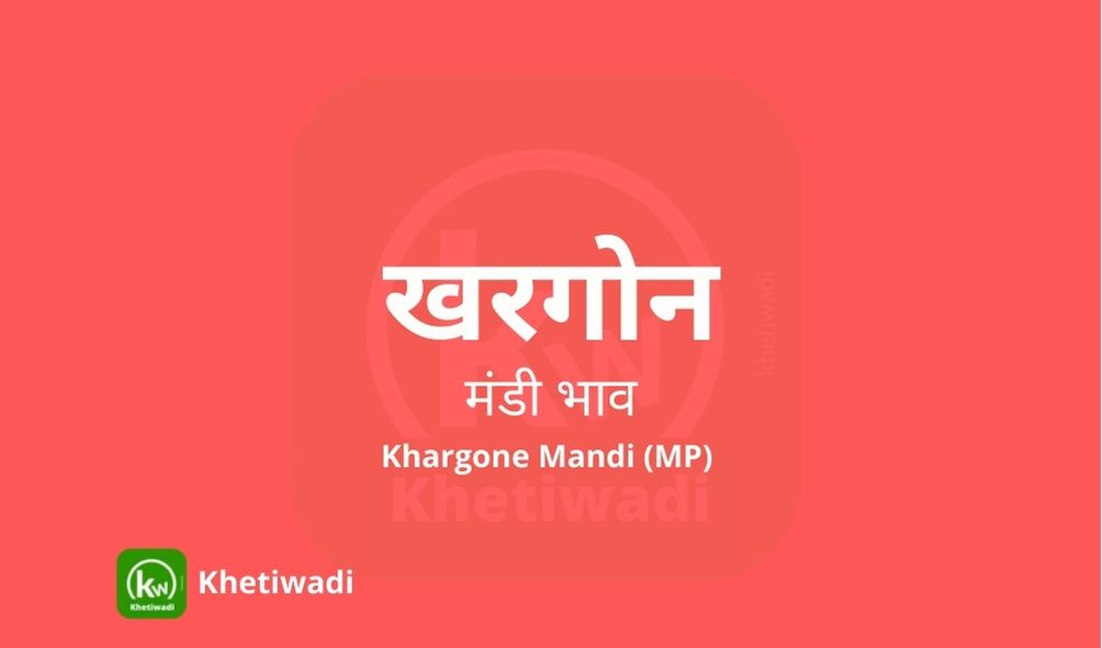 khargone-mandi-bhav