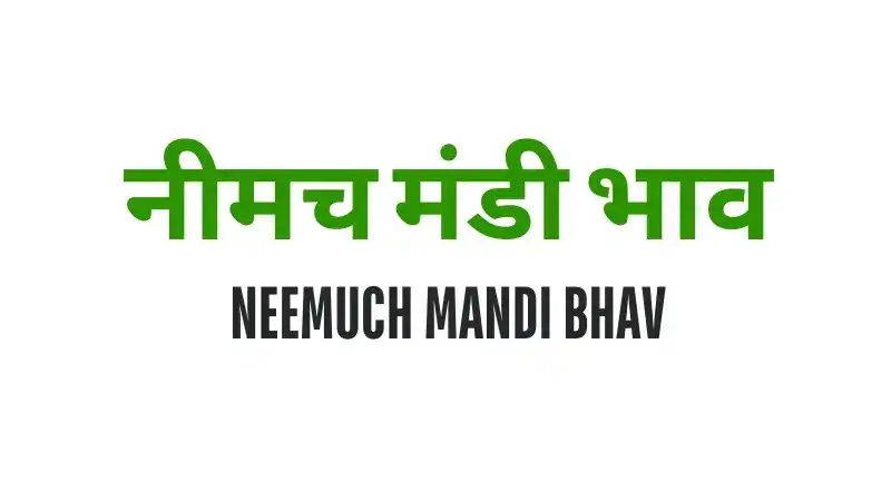 image of Neemuch Mandi with grains