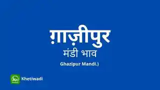 thumbnail image of Ghazipur Mandi