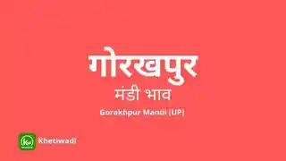 thumbnail image of Gorakhpur Mandi