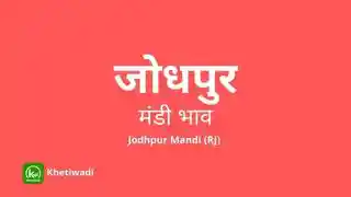 thumbnail image of Jodhpur Mandi