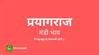 thumbnail image of Prayagraj Mandi